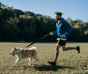 Activités et exercices pour chiens