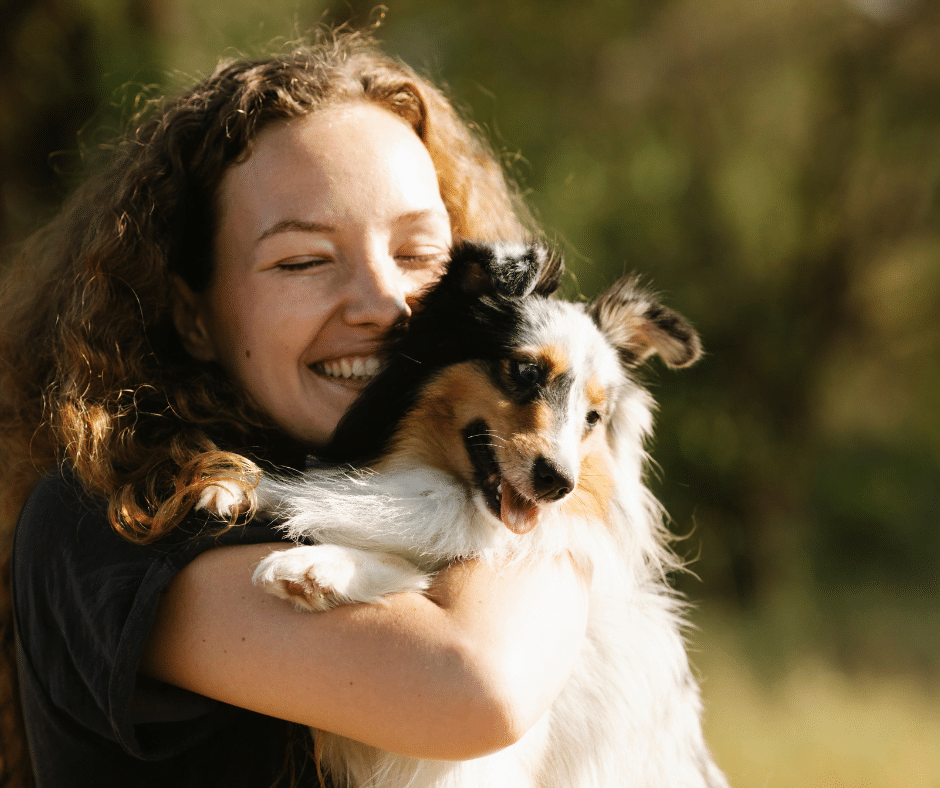 pouvoir des animaux de compagnie