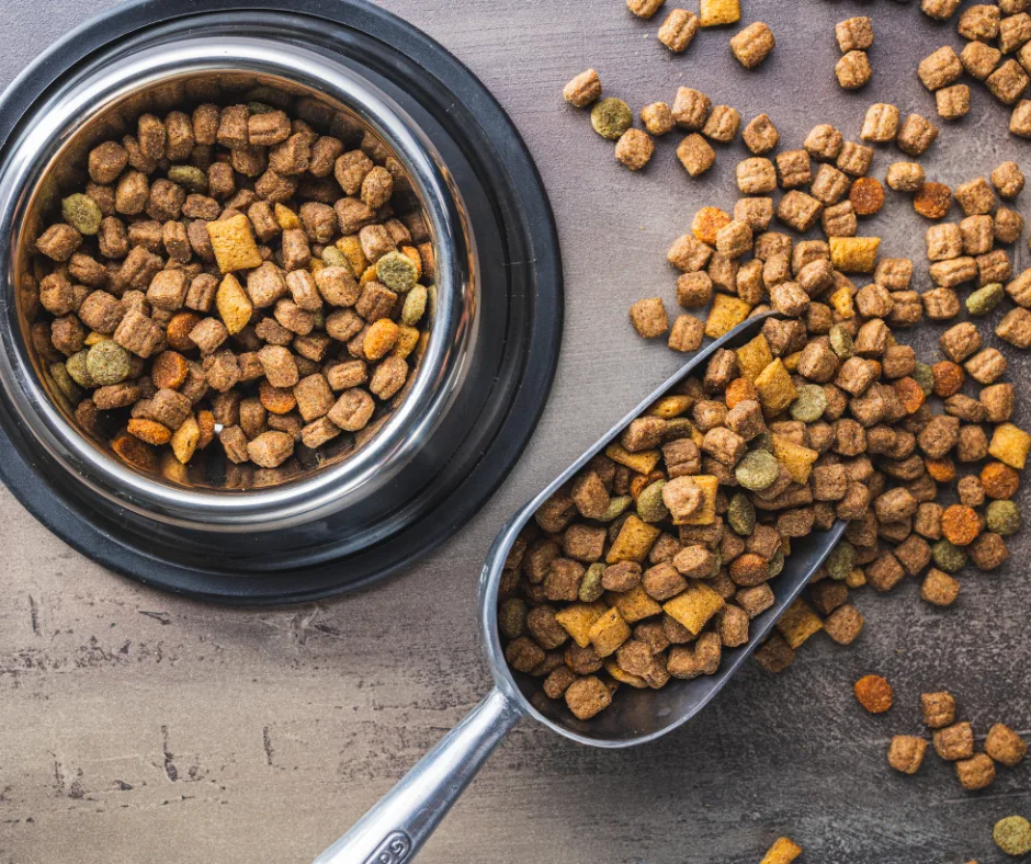 croquettes pour son chat