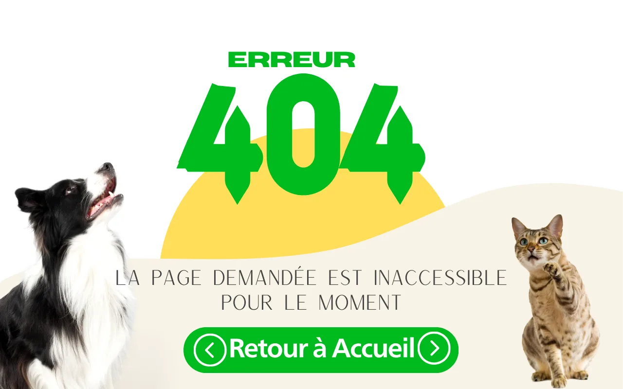 Page Erreur 404